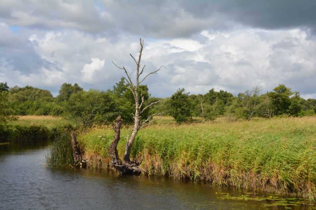 DSC_6104Mittel_.JPG